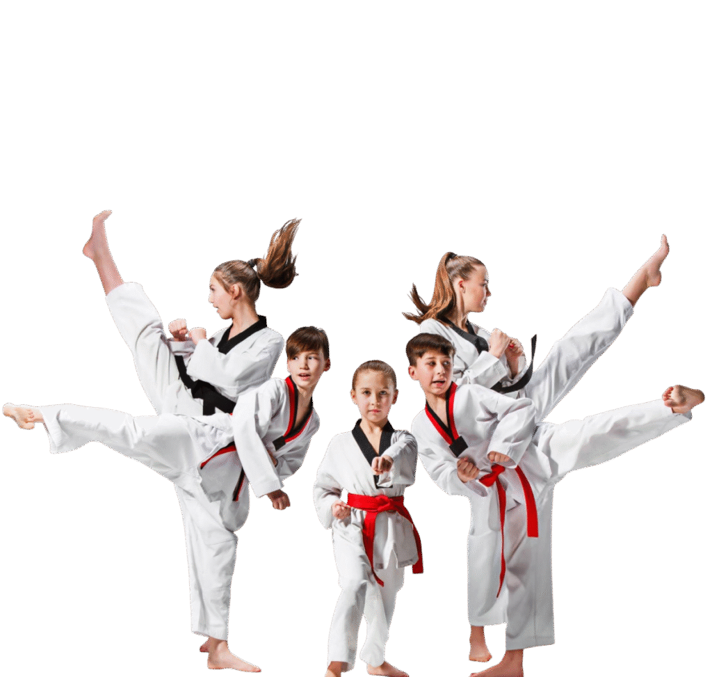 taekwondo classes for childrens